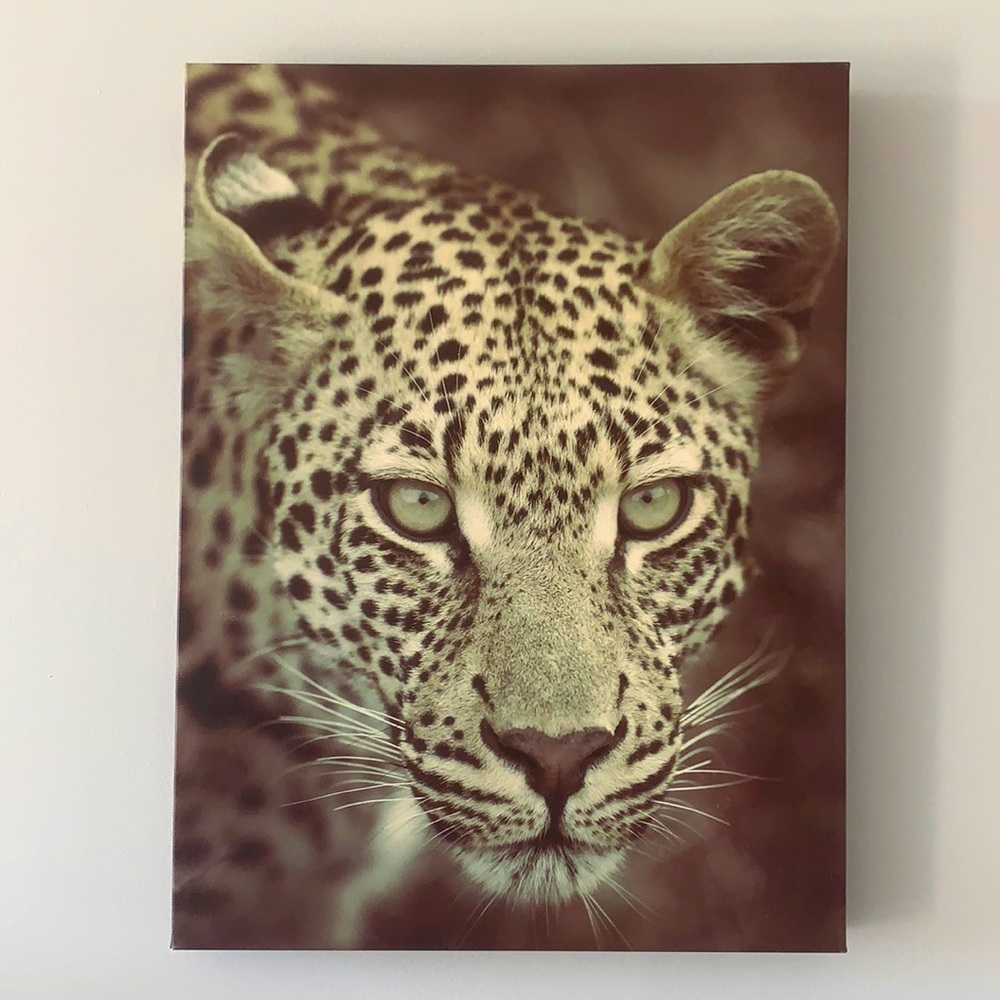 Cheetah canvas print